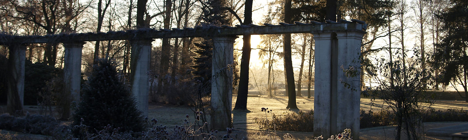 Morgenlicht scheint in den frostigen Rosenhof